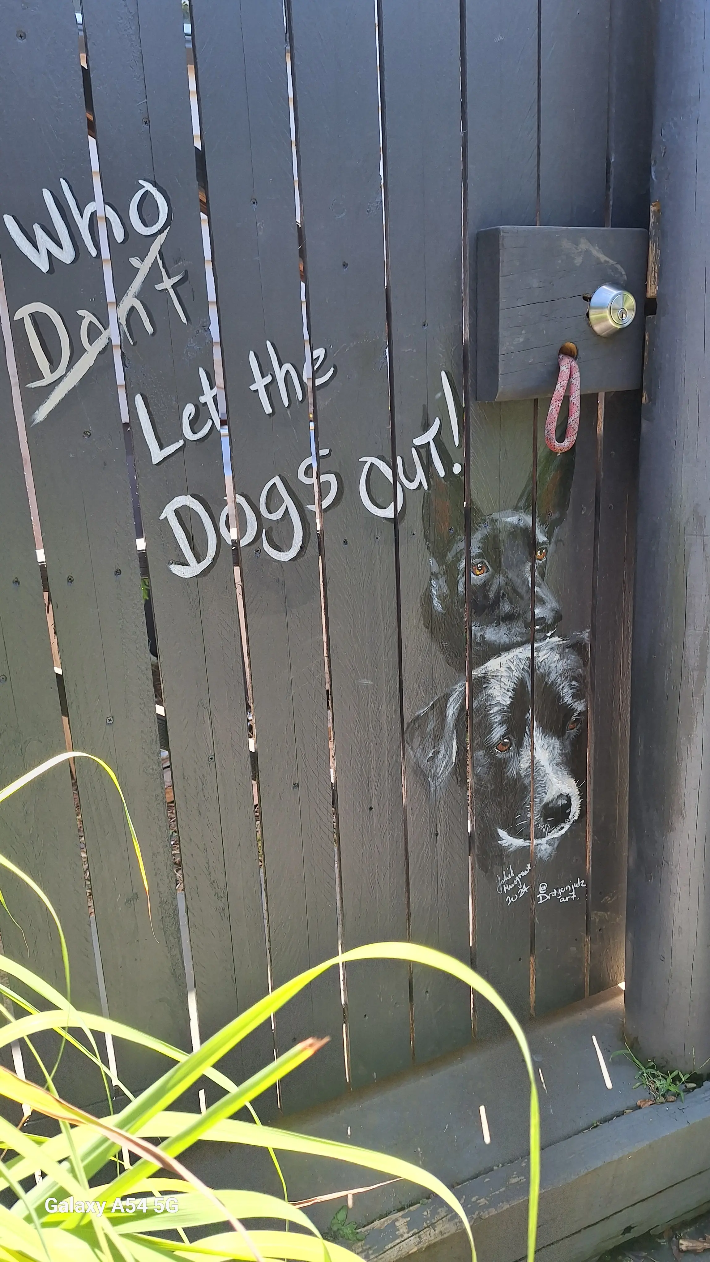 Who Let The Dogs Out Mural